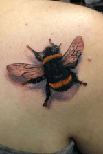 #bee #insect #realism