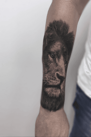 Lion tattoo 💛 #liontattoo #lionking #tatttooartist #tattoo #art 