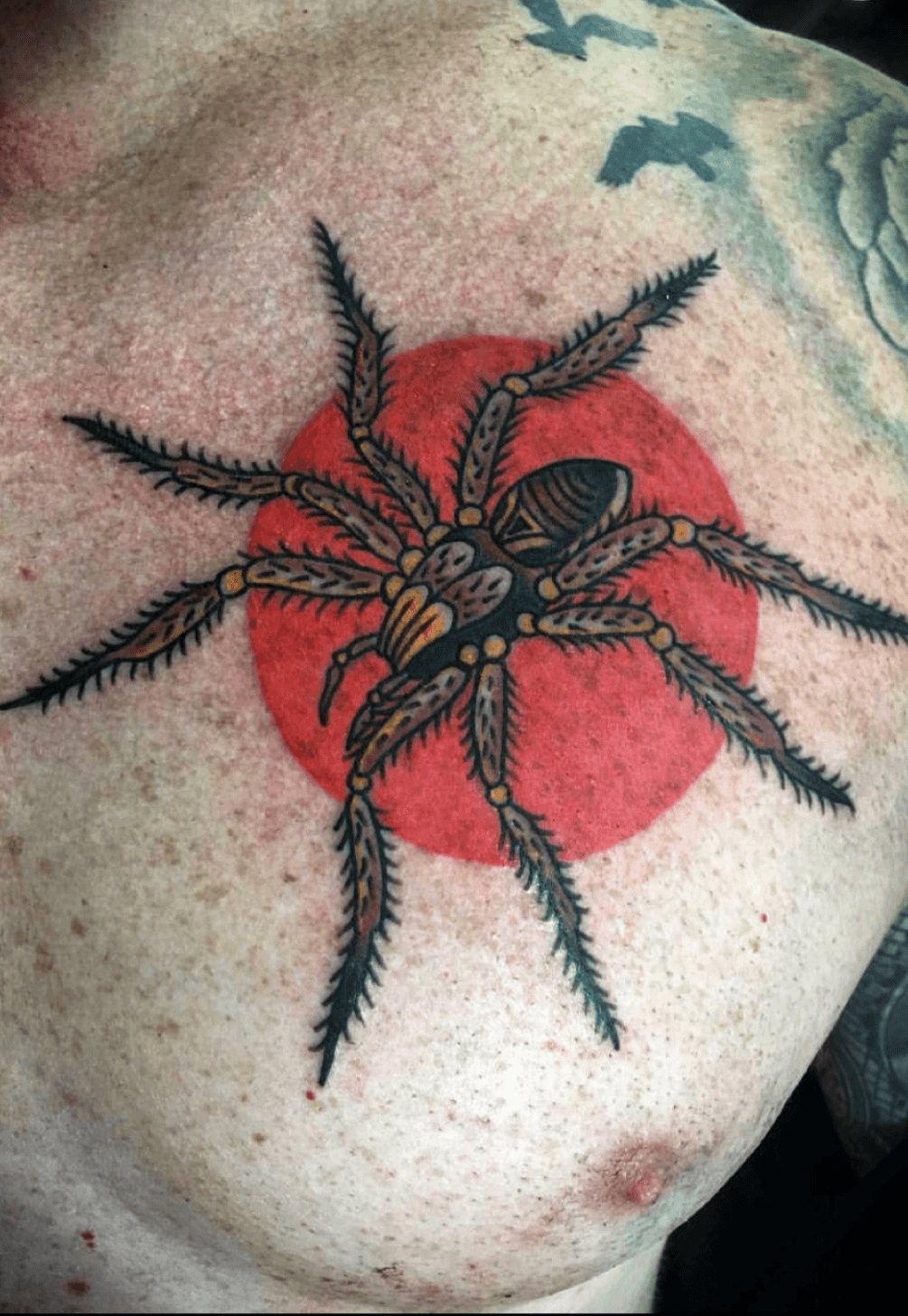 spider tattoo  All Things Tattoo
