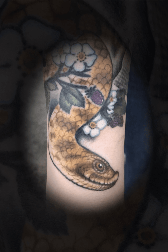 Tattoo uploaded by Zachariah Fincher  Hognose serpent for Sam snake  tntattooartist monolithtattoo615 monolithgtattoos realism coldblooded   Tattoodo