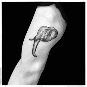 #elephant #blackwork #acuarela #tattooartist 