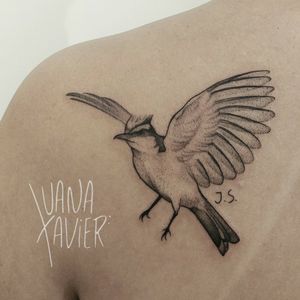 Bem-te-vi bird tattoed by Luana Xavier 💓 . 💌luanaxtattoo@gmail.com.br💌 . #birdtattoo #tattoorj #tattooart #tattoopassaro #luanaxaviertattoo #inked #inklovers #luanaxavier