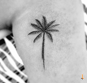 Nº694 #tattoo #tattooed #ink #inked #girlswithtattoos #littletattoo #palm #palmtattoo #palmtree #palmtreetattoo #bylazlodasilva