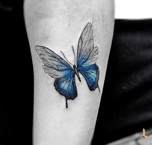 Nº695 #tattoo #tattooed #ink #inked #girlswithtattoos #butterfly #butterflytattoo #insect #insecttattoo #metamorphosis #blue #wings #fly #stencilstuff #eztattooing #ezcartridges #cheyennetattooequipment #hawkpen #radiantcolorsink #bylazlodasilva Based on another artist