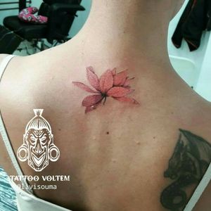 Loto flor by @livisouma #lottusflower #lotus #lotusflower #lotto #flor 