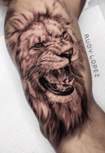 Black and grey lion. Done in two sittings. 