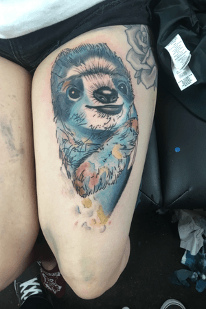 Watercolour Sloth Tattoo