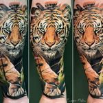Done by @eugen_mahu @iqtattoo #iqtattoo #tat #tatt #tattoo #tattoos #tattooart #tattooartists #realistic #realistictattoo #color #colortattoo #tiger #tigertattoo #beautifultattoo #ink #inked #inkedup #inklife #inklovers #inkstagram #ink_sta_gram #amazingink #amazingtattoo @the.best.tattoo.page @tattoodo @tattoorealistic #instalike #instagood #instatattoo #tattoooftheday #art #gorinchem #netherlands