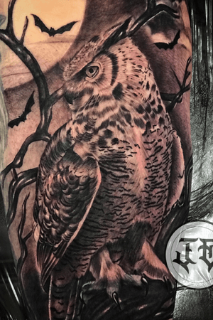 Owl cover up @jonathan59590