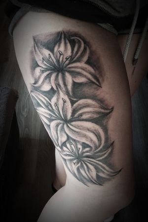 #lily #lilytattoo #tattoo #blackandgreytattoo #flowertattoo 
