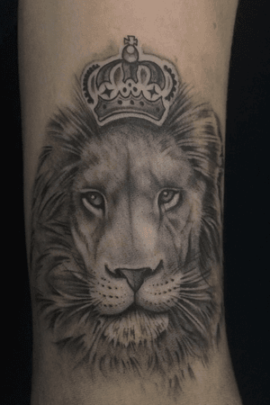 #tattooartist #tattooart #inkvaders #tattoooftheday #blackandgrey #blackandgreytattoo #switzerland #lion #liontattoo #crown #realism #realistic 