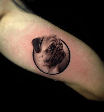 Pug tattoo by Ganga Tattoo #GangaTattoo #pug #dog #petportrait #realism #hyperrealism