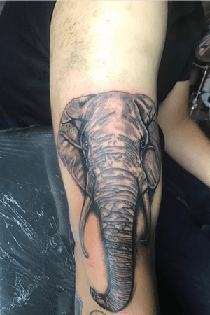 Elephant tattoo from the other day second animal portrait done happy with the reuslt any arvice and critizicm would be nice 