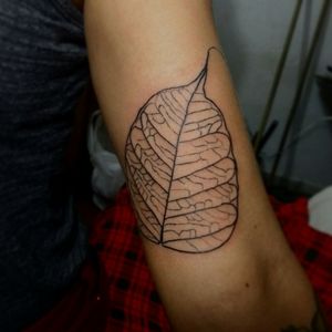 Leaf tattoo, last Session #leaftattoo #blacktattoos #linetattoos 