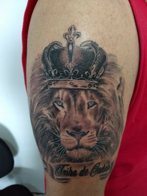 Lion Leão #leao #lion #liontattoos #tatuagemleao #liontattoo #lionkingtattoo #tribodejuda #judahlion #judahliontattoo #judah