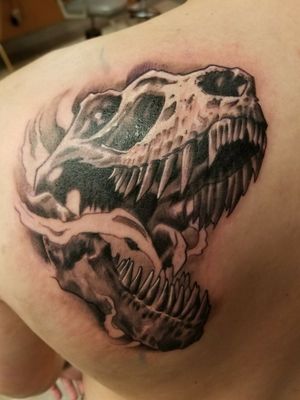 Trex skull. Too cool not to post