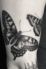 Really enjoyed doing these detailed butterflies. More work like this! #villeprinsen #tattoo #tatuering #tatuointi #tatovering #tatuaje #tatuagem #tatouage #tätowierung #blackwork #unikumtattoo #göteborg