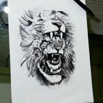 Eye of Lion Sketch 