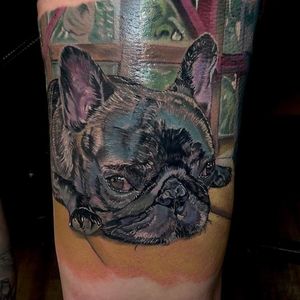 Here's a cute French Bulldog portrait I created this week. #realism #realismtattooing #tattoorealistic #tattoooftheday 