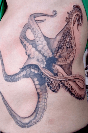 Giant black and grey octopus on ribs
