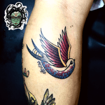 #NaneMedusaTattoo #tattoo #tatuagem #tattooart #tattooartist #tattoodoBR #riodejaneiro #tatuadora #oldschool #oldschooltattoo #traditionaltattoo #tatuadoras #flower #flowertattoo #bird #birdtattoo