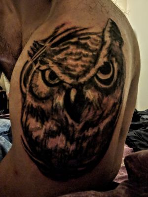 Beautiful new owl piece