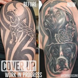 Cover up in progress