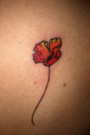 My first tattoo #poppyflower #poppy #flower #tattoo #upperback #fineline 