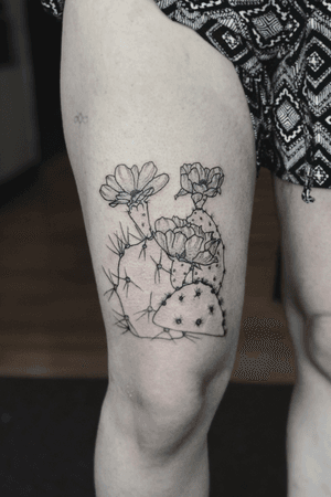 Prickly pear cacti for Kellys thigh 