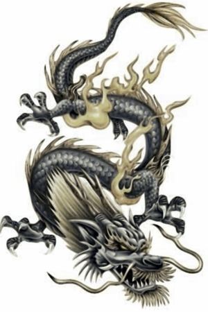 This tattoos is a japonais dragon