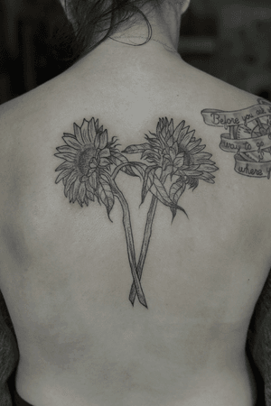 Sunflowers down Morgans spine (other work not by me) 