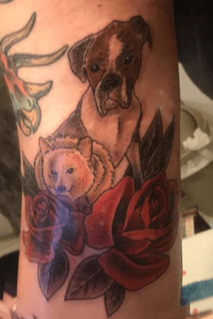 My two dogs that passed, with a couple roses