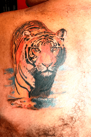 Colored realistic tiger tattoo by Erkan Nehir #Tattoodo 
