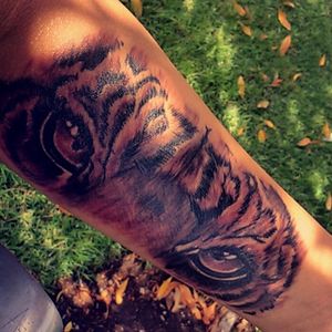 Tiger Eye Tattoo 