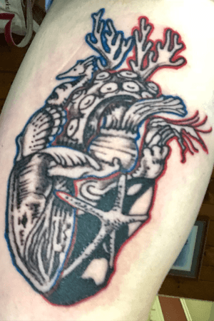 Aquatic anatomical heart with the flownof oxiginated blood