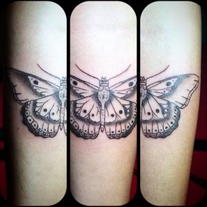 Butterfly#insect #blackandgreytattoo #butterfly #forearm #eternalink #cheyennehawkpen #Cheyenne #bug 