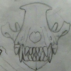 Canine skull sketch#canine #canineskull #sketch 