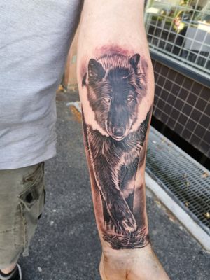 Sponsored by Supply-Division Denmark
Done with Lithuanian Irons, Venom PS-2, Panthera, Dynamic, IQ Tattoo Care.
@lithuanian_irons @supply_division @iqtattoocareproteam @officialiqtattoocare
#BONDEDBYCOLOR #TattooWorldSlagelse #TattooWorldDenmark #SonnyTattooArt
#tattoo #tattoos #tat #ink #inked #tattooed #tattoist #coverup #art #design #instaart #instagood #sleevetattoo #handtattoo #chesttattoo #photooftheday #tatted #instatattoo #bodyart #tatts #tats #amazingink #tattedup #inkedup

