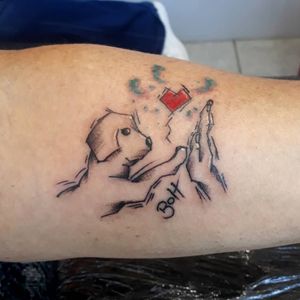 #kiatattoo #tattoo #tatuagem #tatuaje #tatuagemdelicada #sketch #sketchtattoo #dogtattoo #tatuagemcachorro #doglovers #tatuagemguarulhos #tatuagemsp #electricink #everlastpigments #blackcatneedles
