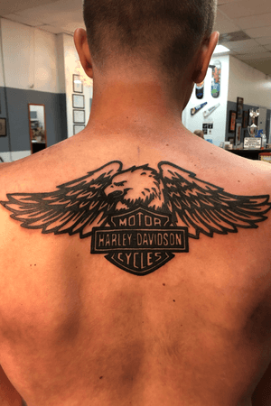 HD tattoo on a nice guy on vacation from Indiana