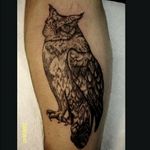 #owltattoo #owl #sandiego #sangiegotattoos #blackngreyislife #blackngreysociety #tattoocomunity #tattoos #artdriven #supurbtatoo #besttattoos #inkjunkeyz @andrewtatcarlson @@sdtattoo 