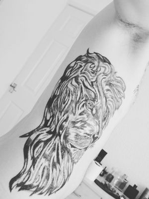 Lion on ribs 