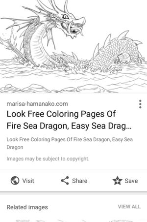 Sea Dragon 🐉