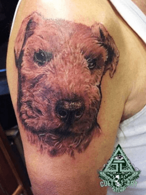 Doggie #realism #realistic #tattooart #tattooartist #cultart #tattoo #dogtattoo #cultart #netherlands #dutchtattoo 