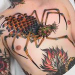 Tattoo by Herb Auerbach #HerbAuerbach #monstertattoo #color #newschool #traditional #Japanese #mashup #spider #monster #creature #strange #pinecone #eyes