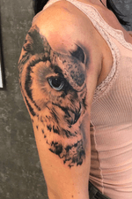 First steps doing realism #realism #owltattoo #greywash #realistic 