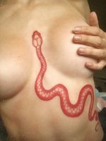 Red snake 