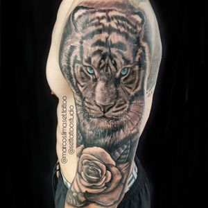 Tigre! 7 horas para finalizar essa arte em uma sessão diretaSET TATTOO STUDIO Tattoo Artist: @marcos.lima.set.tattooVenha conhecer:Materiais: 100% @electricinkSite: www.settattoostudio.comEndereço: Avenida Benedito Rodrigues de Freitas, 210 - Centro - Igaratá - SP#tattoo #tattoos #tattooworkers #tatuagem #tatuaje #tattooartist #tattooprofessional #tattooart #ink #inked #tatoaggio #electricink #mktpen #tiger #electricinkpen #tattoosp #tattoodo #skinart_mag #tattoodobr #inkisart #tattooist #tattooguest #sullenclothing #tigertattoo #instagood #tigre #mktpen #settattoostudio #igarata