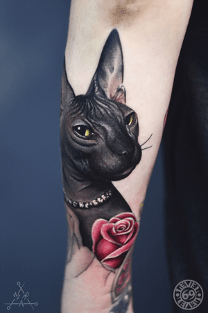  #hand #handtattoo #tattooart #realism #realistic #Tattoodo #tattoopharma #worldfamousink #realismtattoo #blackandgrey #blackandgreytattoo #69level #cat #cattattoo #sphinxcat #rose