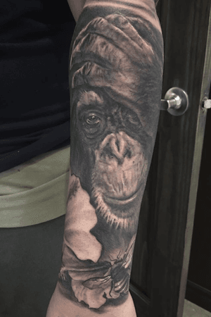 Very detailed chimp 🙂